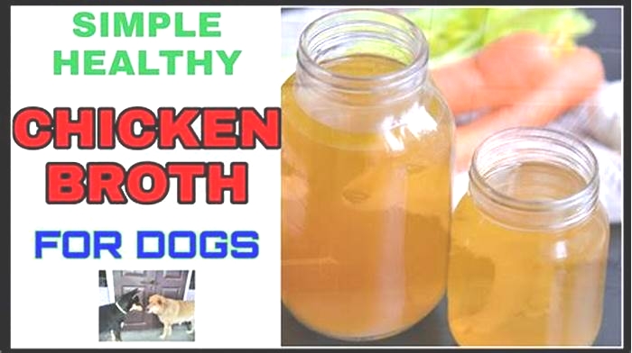 Is it okay to put chicken broth on dry dog food?