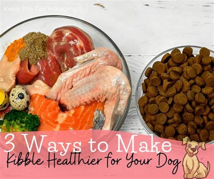 Is kibble really healthy for dogs