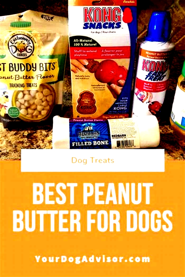 Is peanut butter good for dogs with kidney disease?