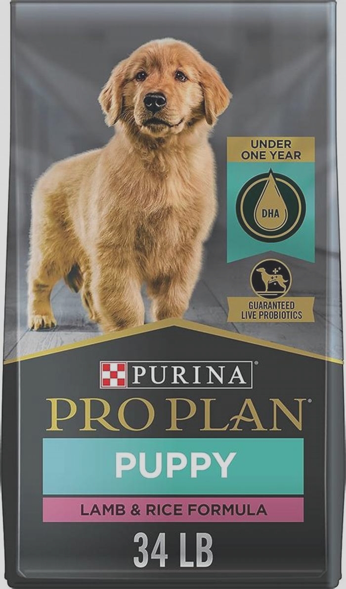 Is there a better dog food than Purina Pro Plan