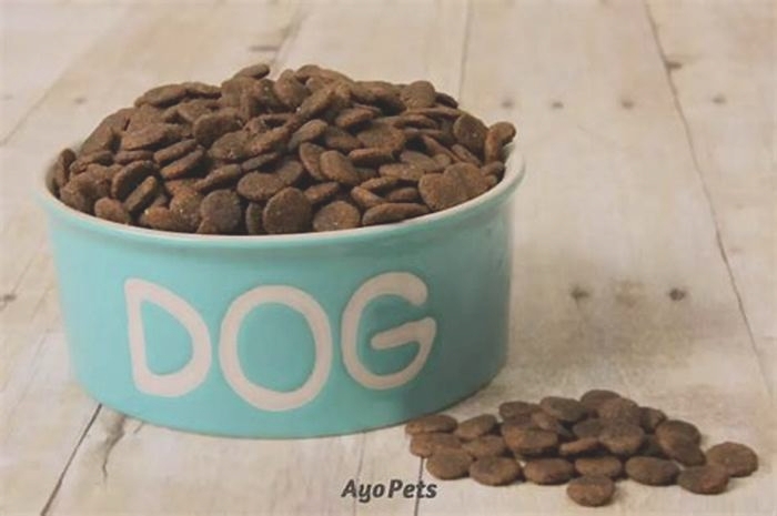 Should I soak my dogs kibble in broth?