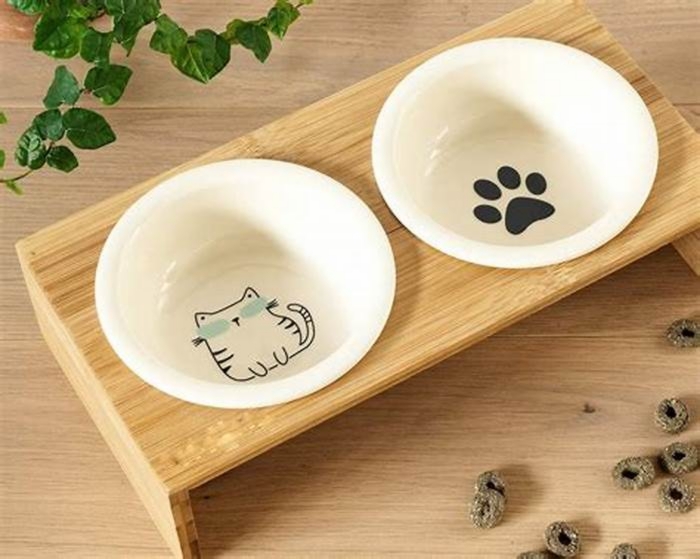 Should dogs eat out of ceramic bowls