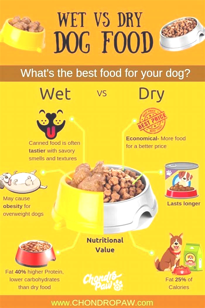 Should you moisten dry dog food?