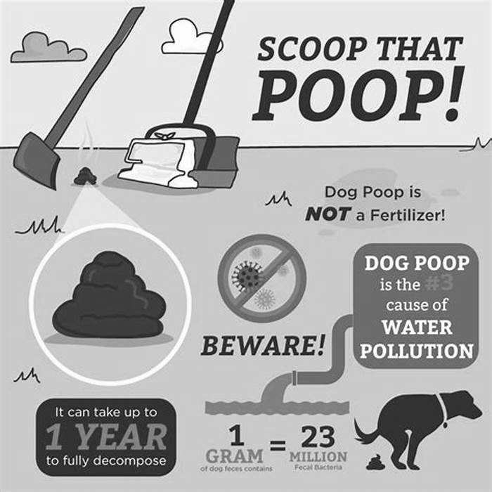 Should you pick up dog poop everyday?