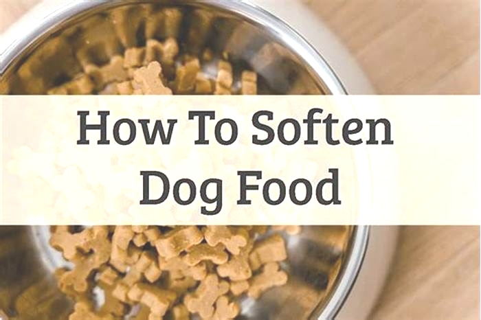 Should you soften dry dog food