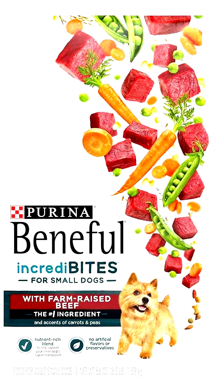 What Purina dog food is killing dogs in 2024?