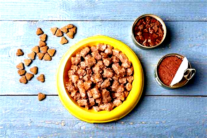 What are the disadvantages of wet dog food?