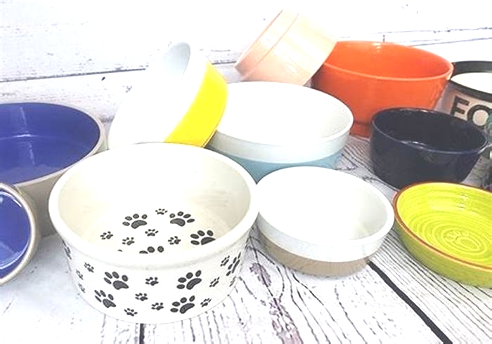 What are the pros and cons of ceramic dog bowls?