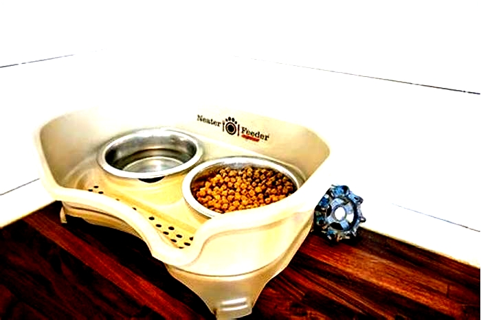 What are the safest dog bowls?