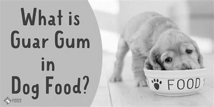 What are the side effects of guar gum in dogs?