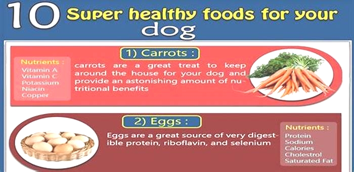 What are the three super foods for dogs