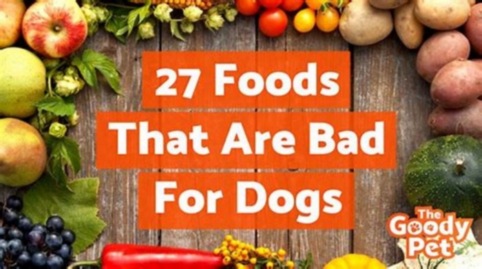 What are the top 10 worst dog foods to feed your dog