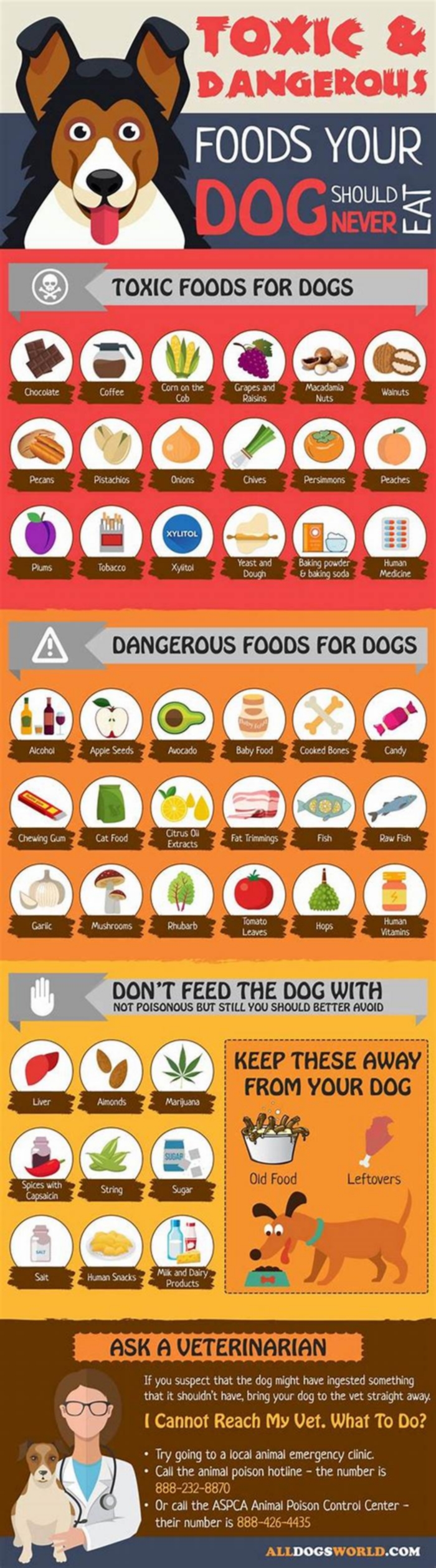 What brand of dog food is contaminated?