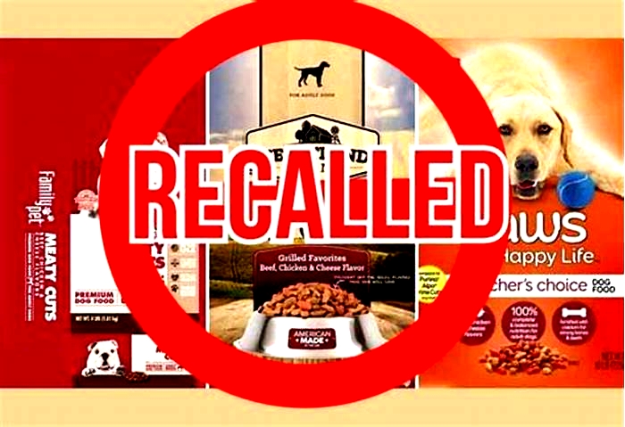 What brand of pet food is being recalled?