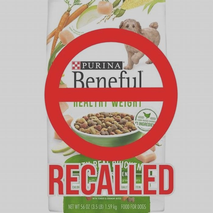 What brands of Purina dog food is being recalled?