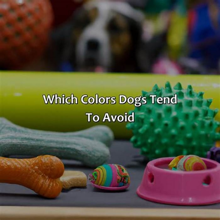 What color do dogs avoid?