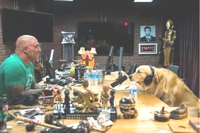 What does Joe Rogan feed his dog?