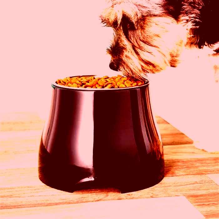 What dog breeds need elevated bowls