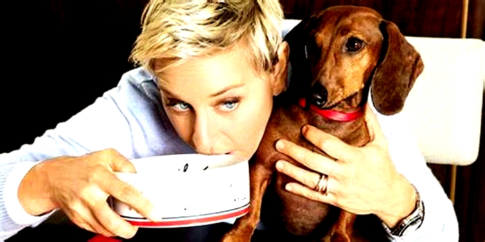 What dog food does Ellen DeGeneres own