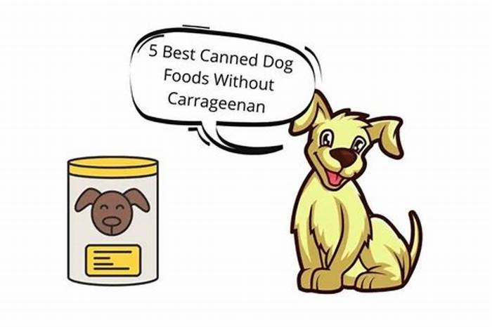 What dog food does not have carrageenan?