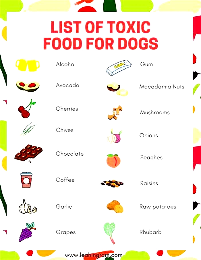 What dog food has toxic chemicals?