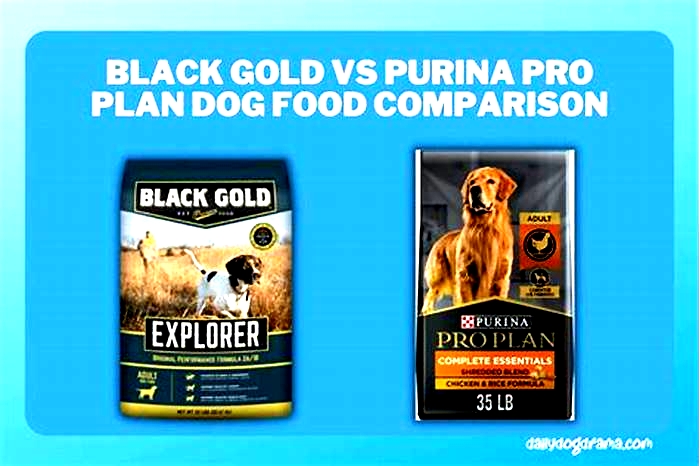 What dog food is compared to Purina One