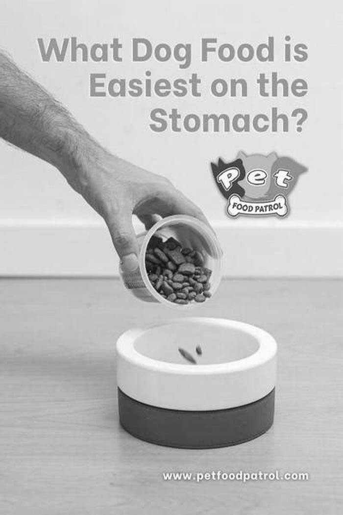 What dog food is easiest on the stomach?