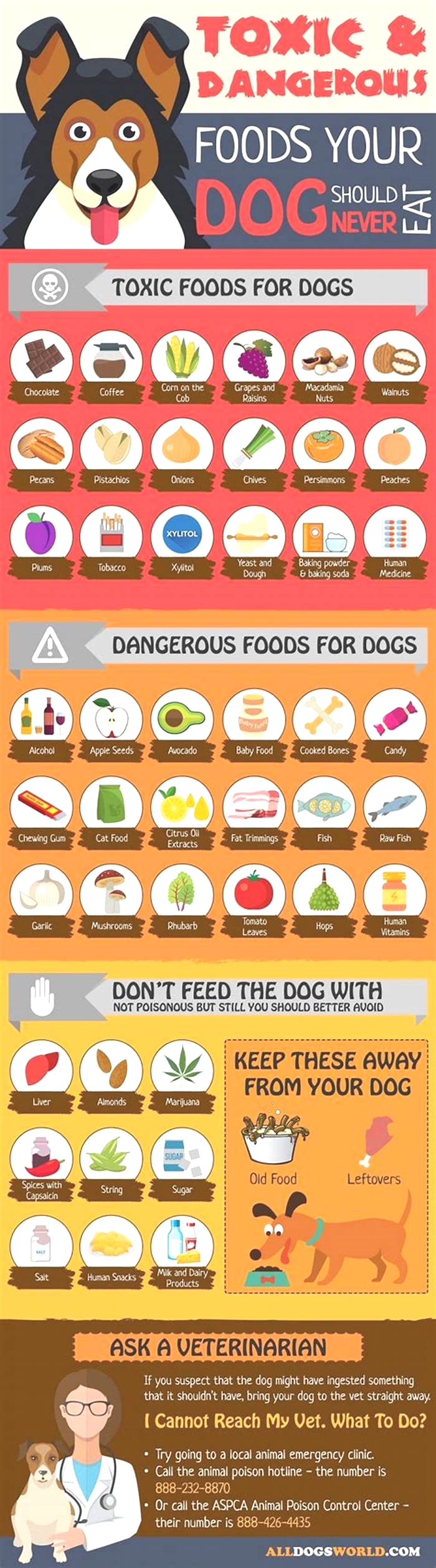 What dog food is not recommended by vets