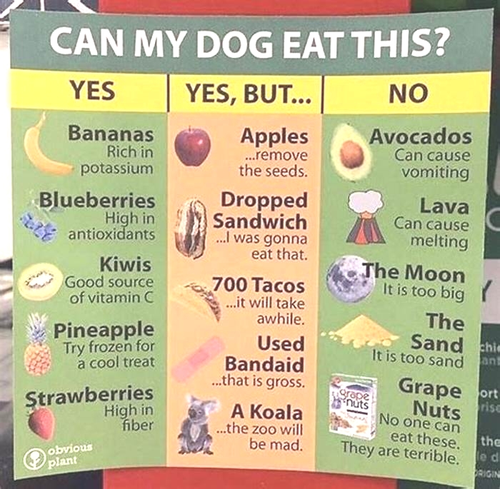 What dog food is not recommended?