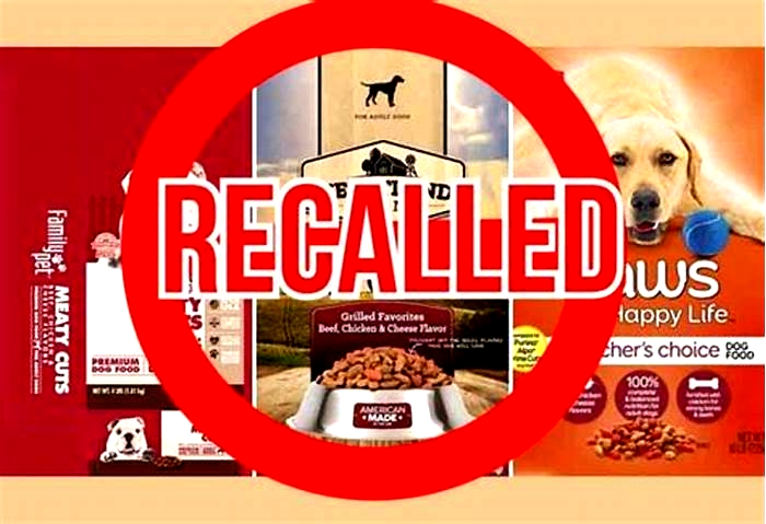 What dog food was recalled recently?