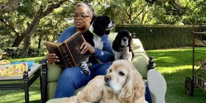 What dogs does Oprah own