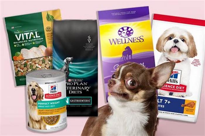 What food do vets recommend for dogs