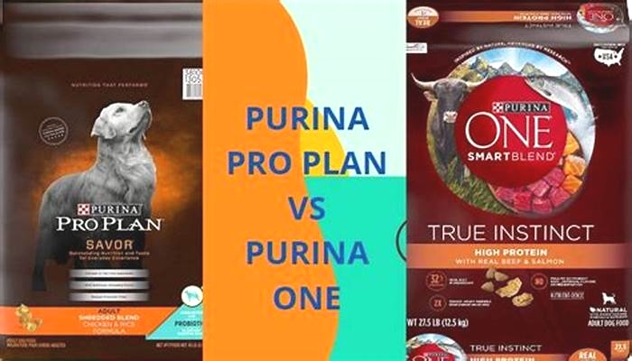 What food is better than Purina Pro Plan?