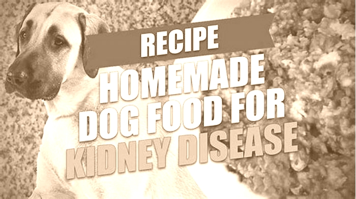 What food is easy on dogs kidneys?