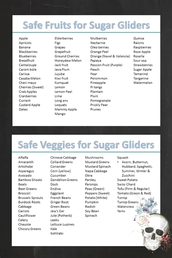 What fruits are bad for sugar gliders?