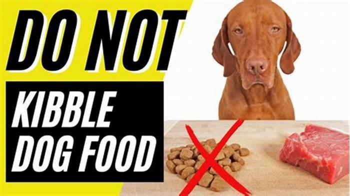 What happens if dogs dont eat kibble?