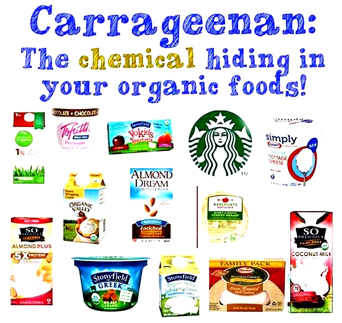 What is carrageenan and is it unhealthy