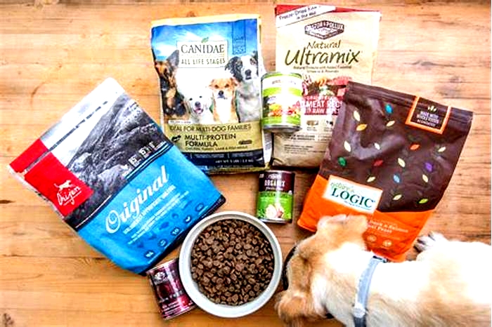 What is the best combination of dog food?