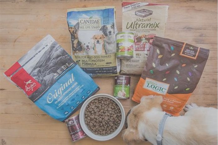 What is the best dog food in the world?