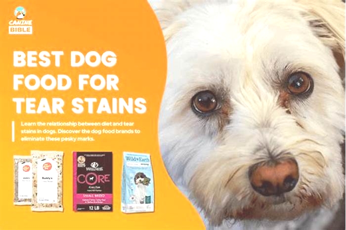 What is the best dog food to prevent tear stains