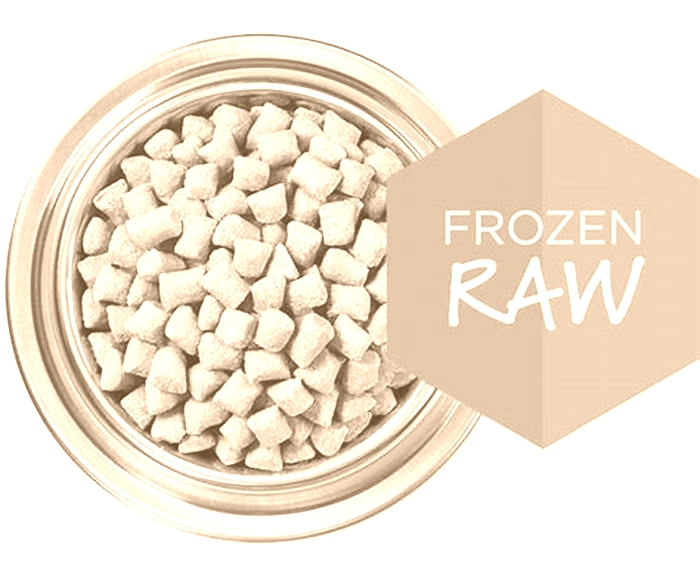 What is the best frozen raw dog food?