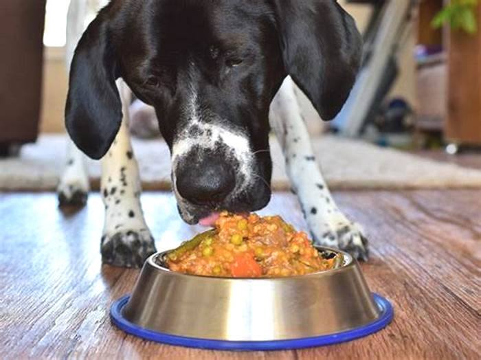 What is the best meat and vegetables for dogs