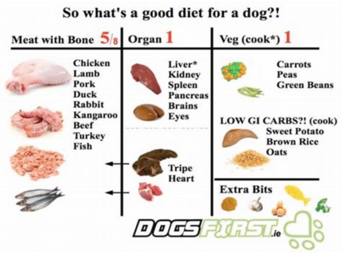 What is the best meat for dogs on a raw diet?