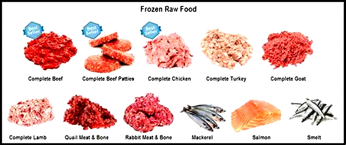 What is the best raw meat for dogs