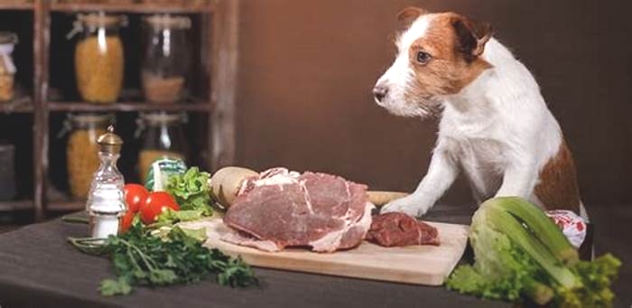 What is the cheapest way to feed dogs raw food