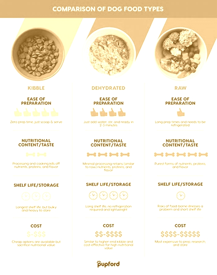 What is the difference between kibble and dry dog food