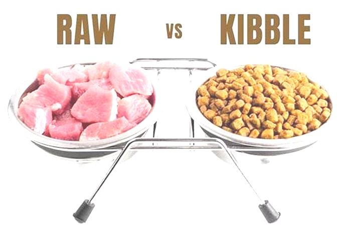 What is the difference between kibble and regular dog food?