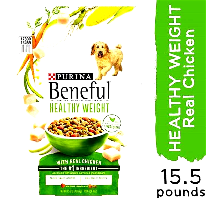 What is the healthiest dog food in America?