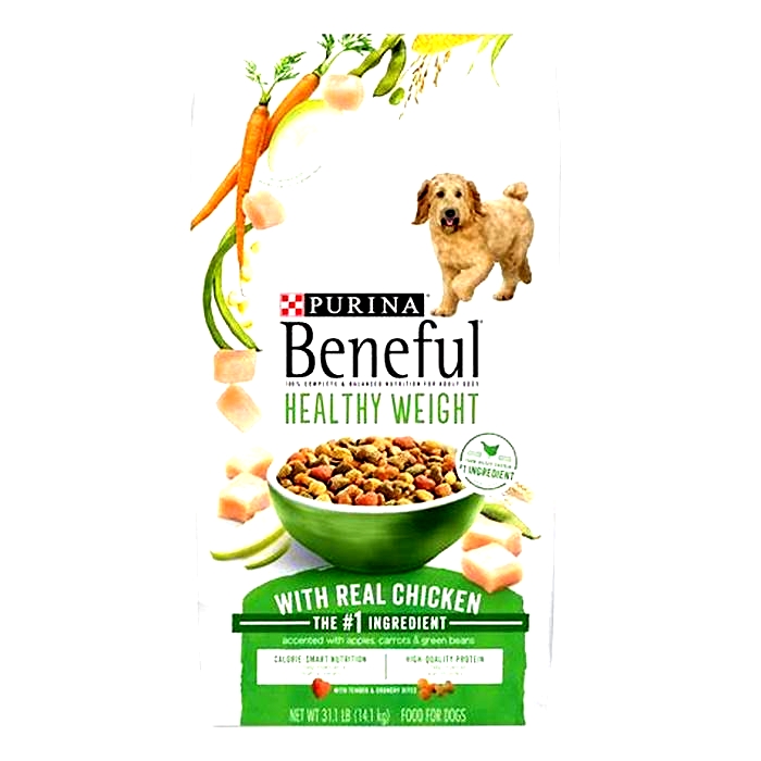 What is the healthiest dog food on the market today