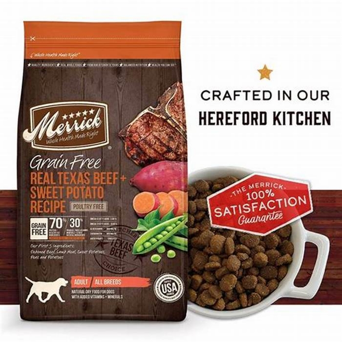 What is the most premium dog food?